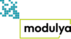 logo-modulya